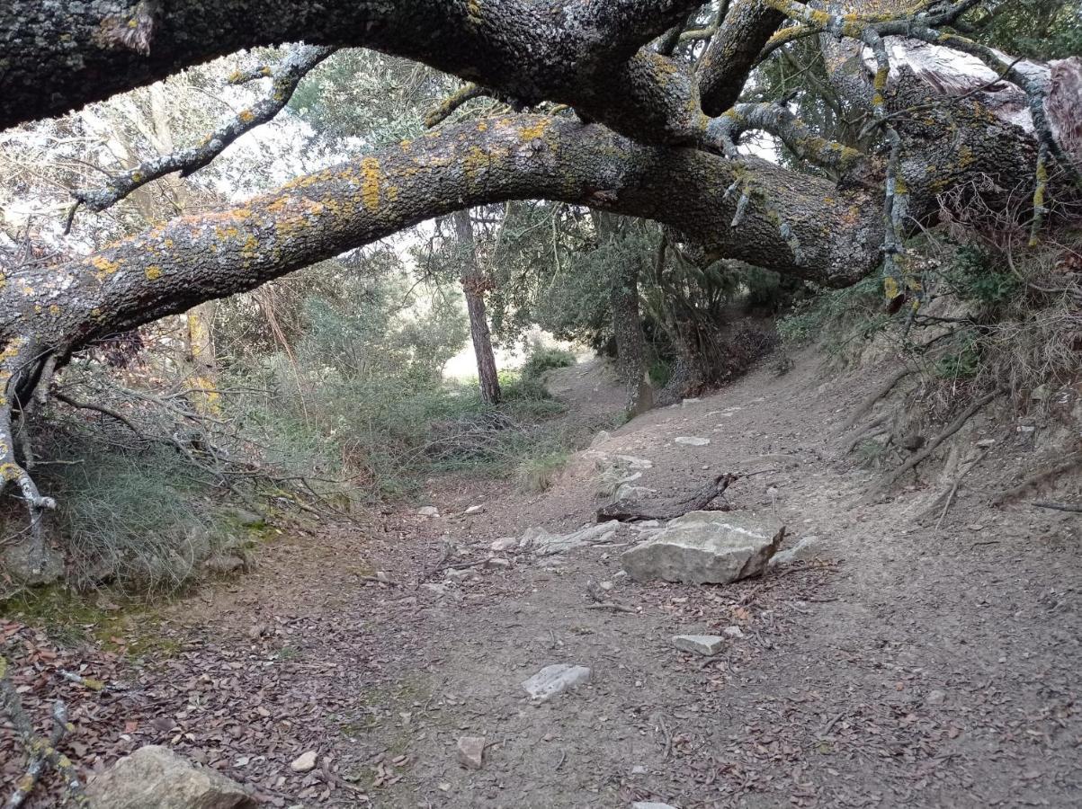 Olocau del Rey Apartamentos Casa Rural El Ventanico מראה חיצוני תמונה